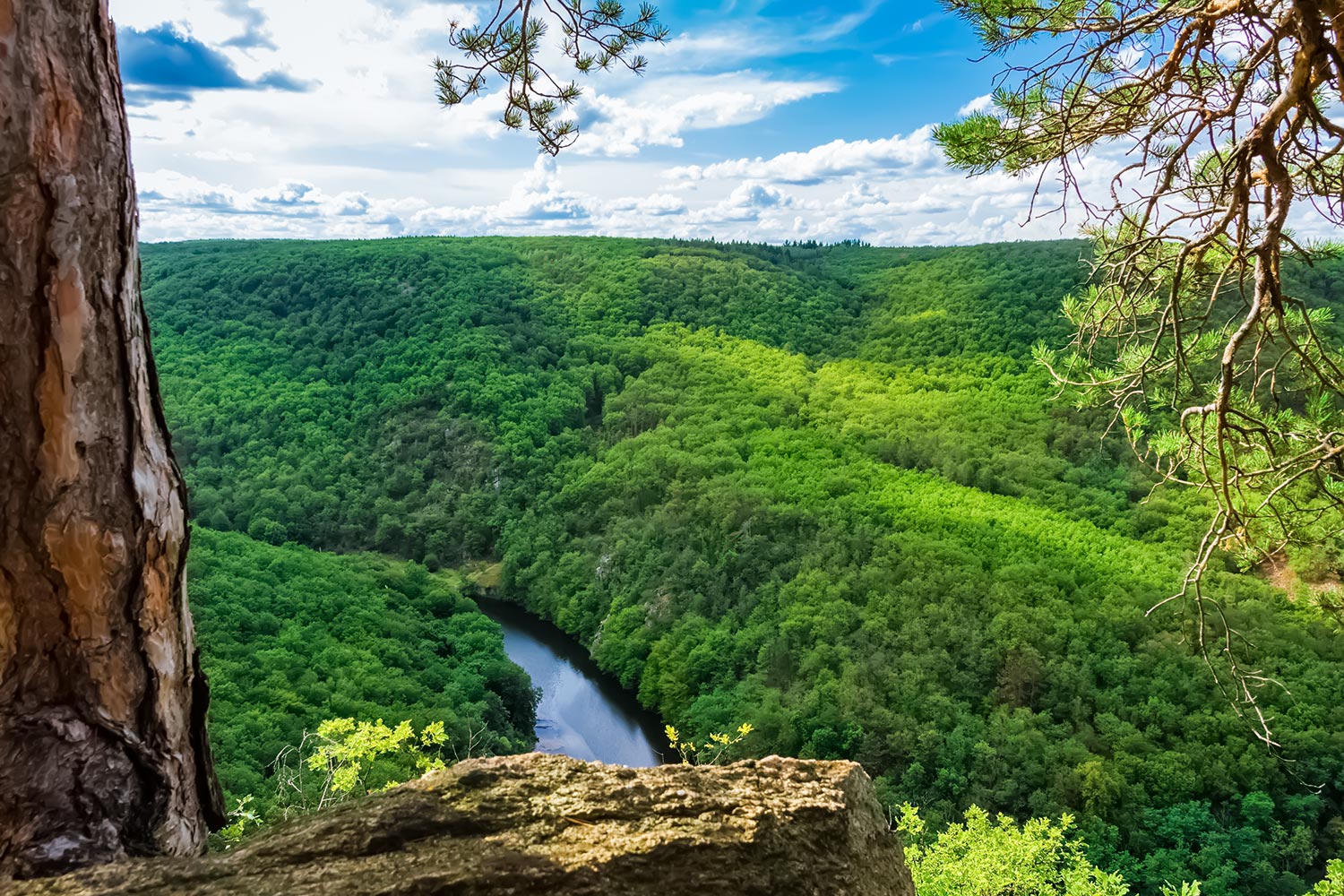Dyje River canyon in Podyjí National Park